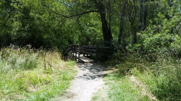 Quaint little bridge on Blackberry Trail. 