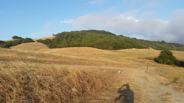 A view from the Western Route at Taylor Mountain Regional Park. 